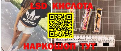 гашик Нальчик