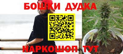 гашик Нальчик