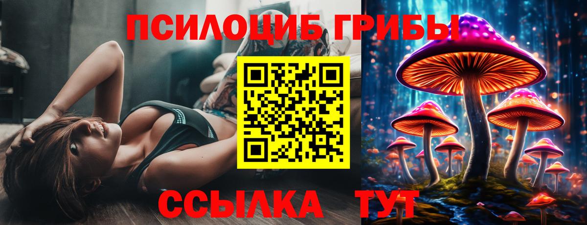 Галлюциногенные грибы Psilocybe Ступино