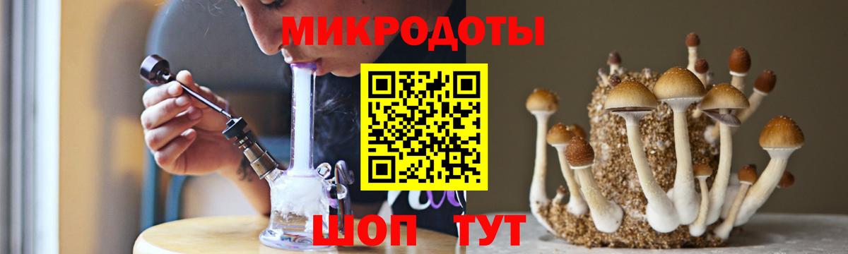 Ступино  Псилоцибиновые грибы Psilocybe  Псилоцибиновые грибы Psilocybine cubensis  купить   Вход с VPN 